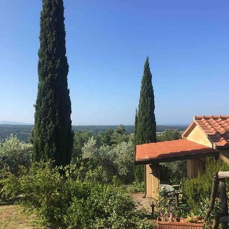 Casa Belvedere -Tranquillita Tra Bosco E Ulivi- Riparbella Luaran gambar