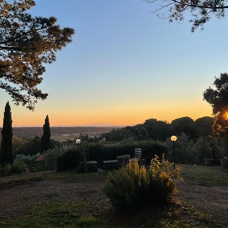 Casa Belvedere -Tranquillita Tra Bosco E Ulivi- Riparbella Luaran gambar