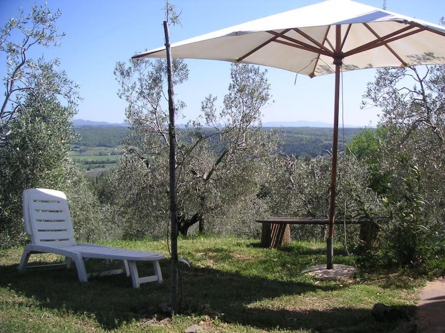 Casa Belvedere -Tranquillita Tra Bosco E Ulivi- Riparbella Luaran gambar