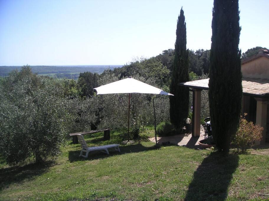 Casa Belvedere -Tranquillita Tra Bosco E Ulivi- Riparbella Luaran gambar