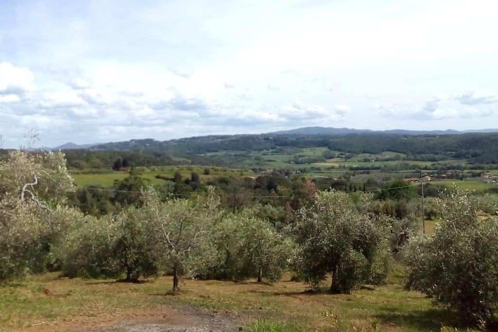 Casa Belvedere -Tranquillita Tra Bosco E Ulivi- Riparbella Luaran gambar