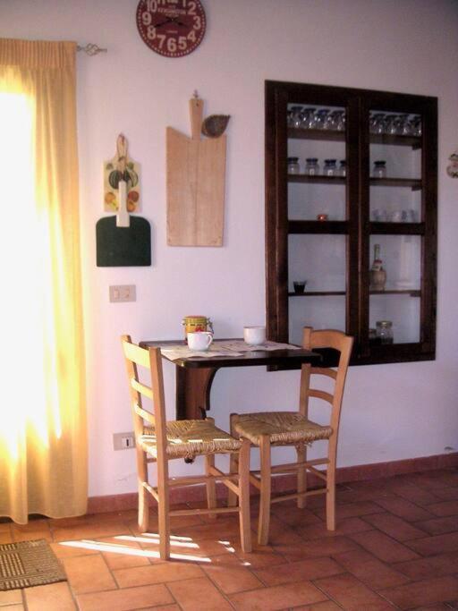 Casa Belvedere -Tranquillita Tra Bosco E Ulivi- Riparbella Luaran gambar
