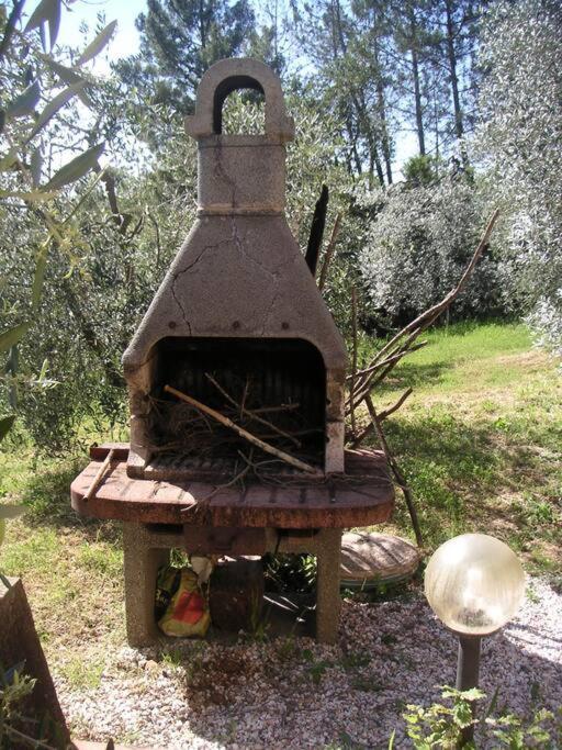 Casa Belvedere -Tranquillita Tra Bosco E Ulivi- Riparbella Luaran gambar