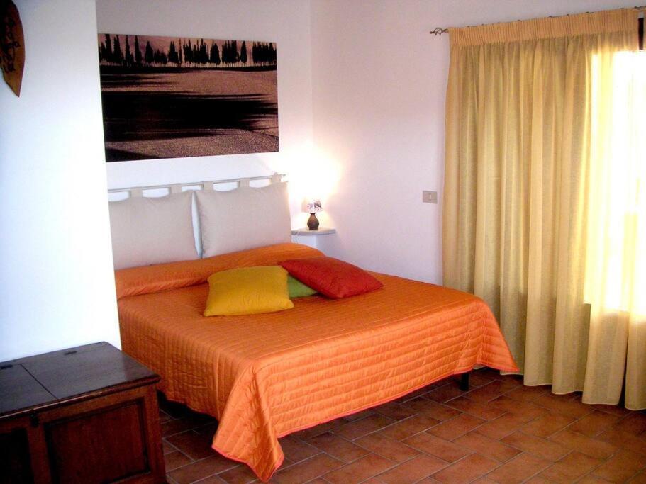 Casa Belvedere -Tranquillita Tra Bosco E Ulivi- Riparbella Luaran gambar