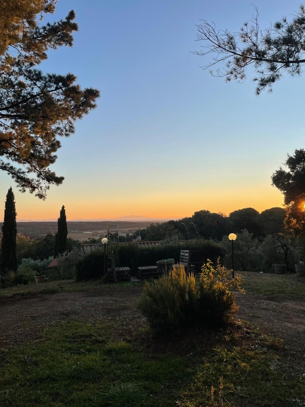 Casa Belvedere -Tranquillita Tra Bosco E Ulivi- Riparbella Luaran gambar