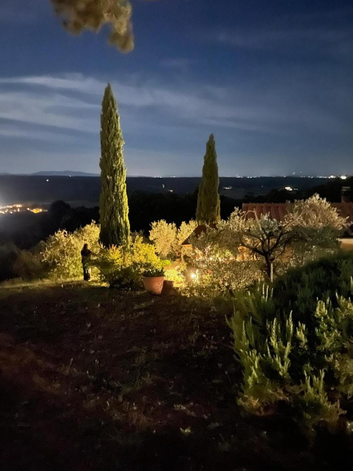 Casa Belvedere -Tranquillita Tra Bosco E Ulivi- Riparbella Luaran gambar
